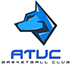 team-logo