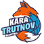 team-logo