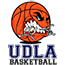 team-logo