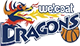 team-logo2