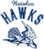 team-logo
