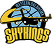 team-logo