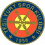 team-logo