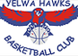 team-logo
