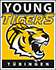 team-logo