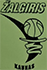 team-logo2