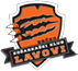 team-logo