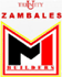 team-logo