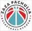 team-logo