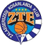 team-logo