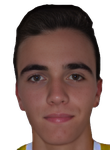 Vice Bozic