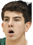 Troy D'Amico basketball