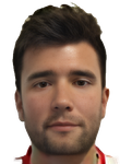 Domagoj Matic