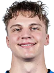 Pastik Taavi.png