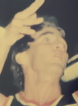 Peter Pollock